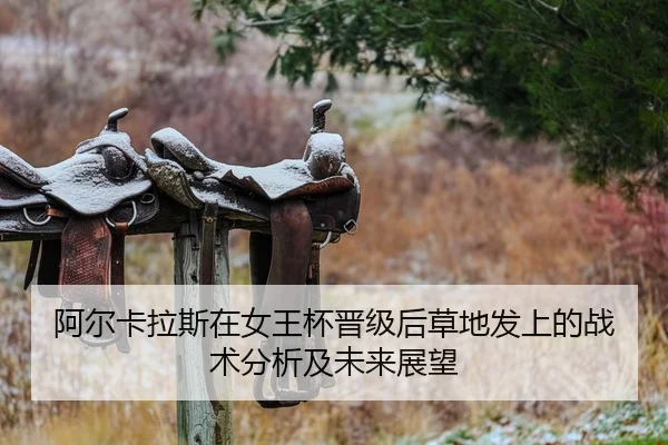 a-er-ka-la-si-zai-nv-wang-bei-jin-ji-hou-cao-di-fa-shang-de-zhan-shu-fen-xi-ji-wei-lai-zhan-wang-2-491.jpg