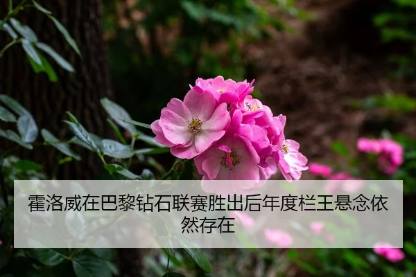 霍洛威在巴黎钻石联赛胜出后年度栏王悬念依然存在